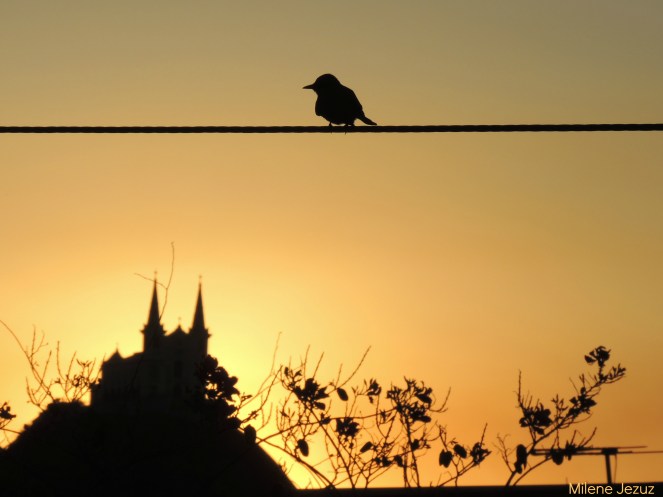 A beleza de Deus vista da minha janela