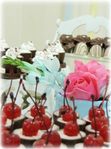 ChaBarnelaAlineHeitor_Decoracao (23)