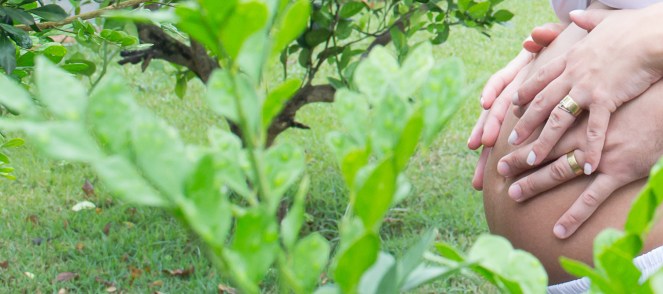 EnsaioGestanteCarolSofia (35)